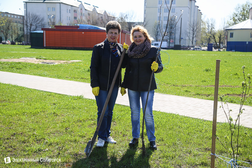 субботник аллея матери