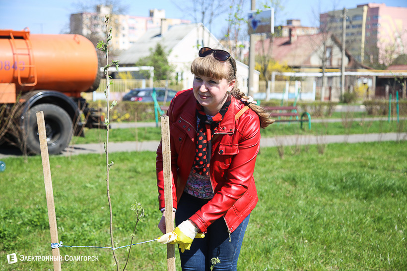 субботник аллея матери