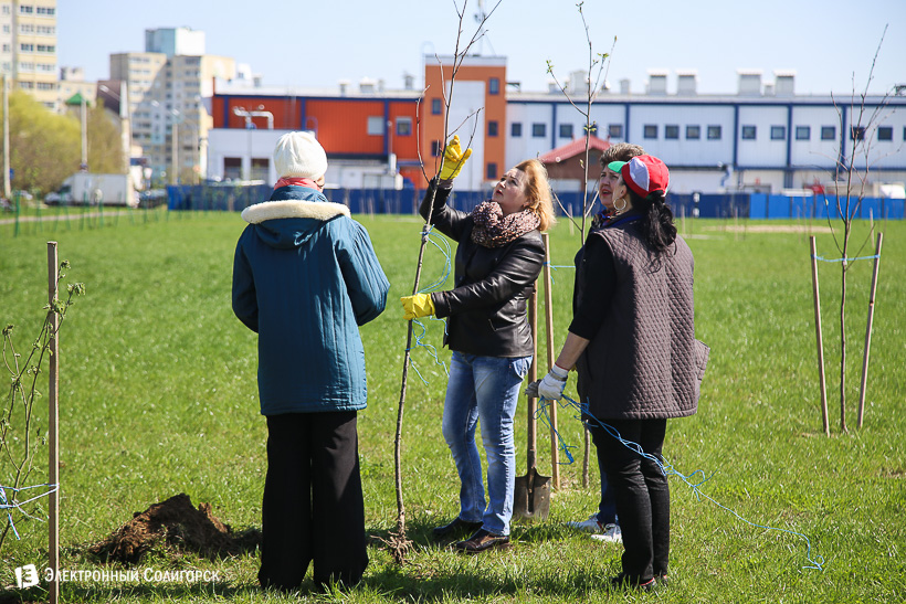 субботник аллея матери