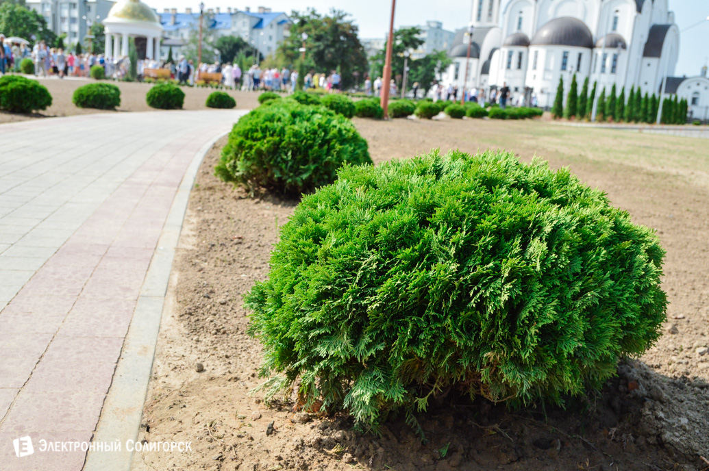 сквер семьи