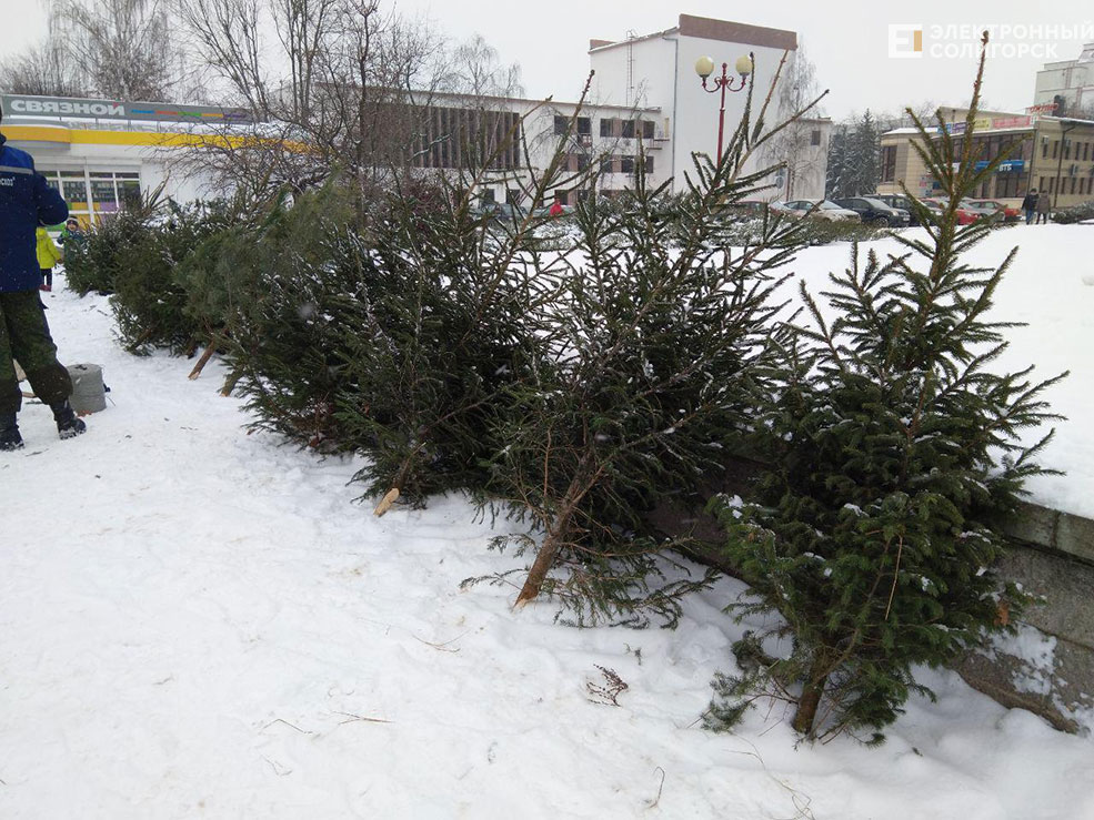 елочный базар солигорск