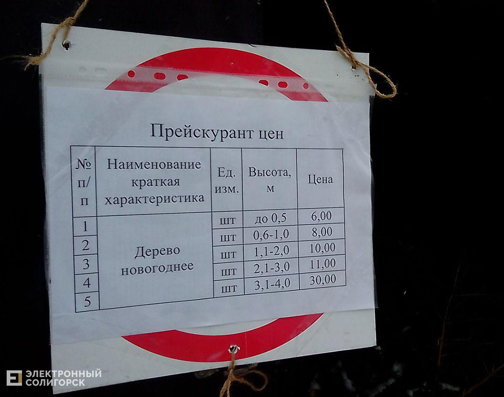 елочный базар солигорск цены 2019