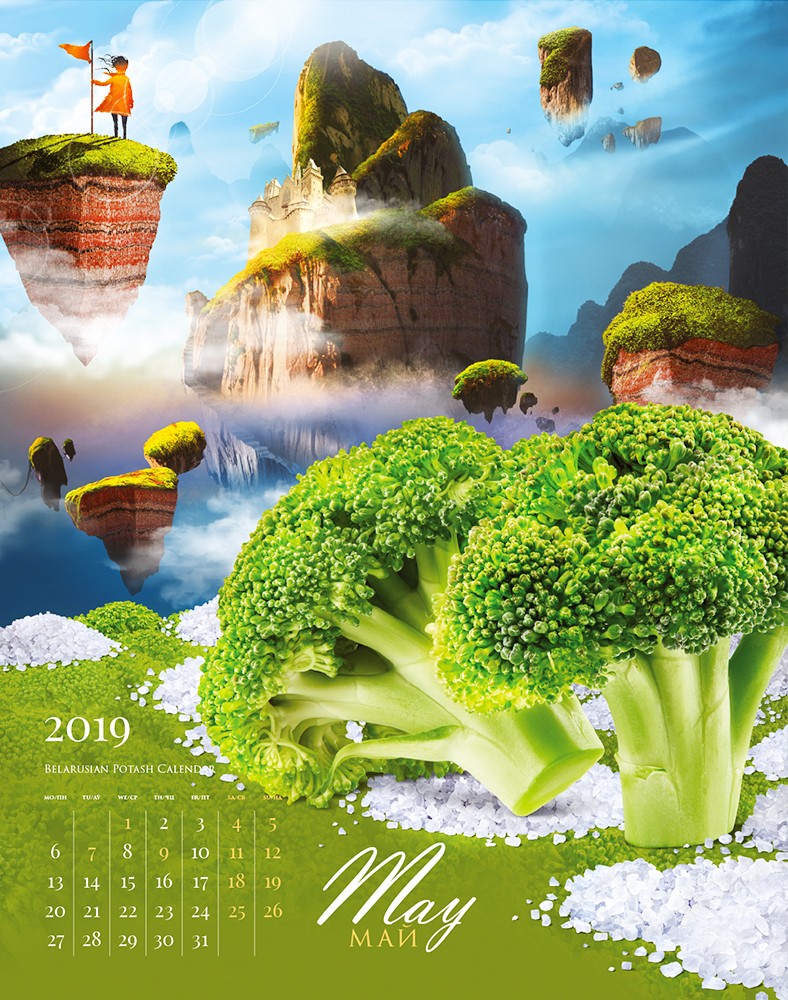 календарь БКК