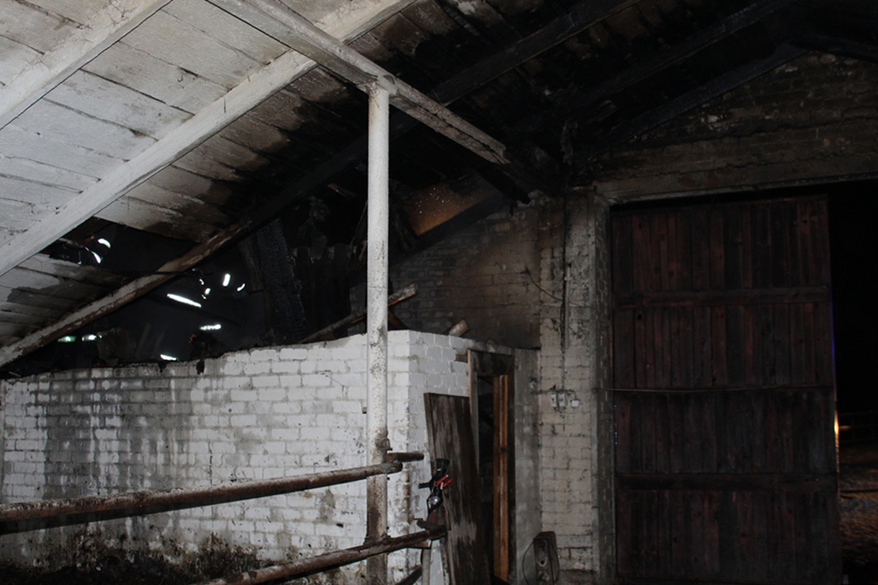 пожар ферма солигорский район