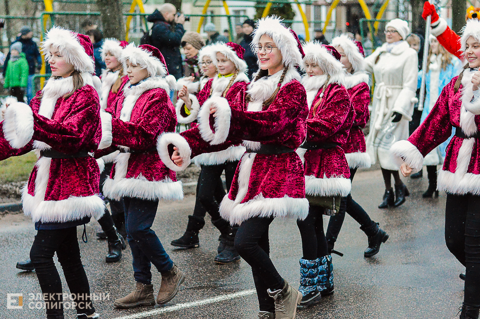 парад дедов морозов солигорск