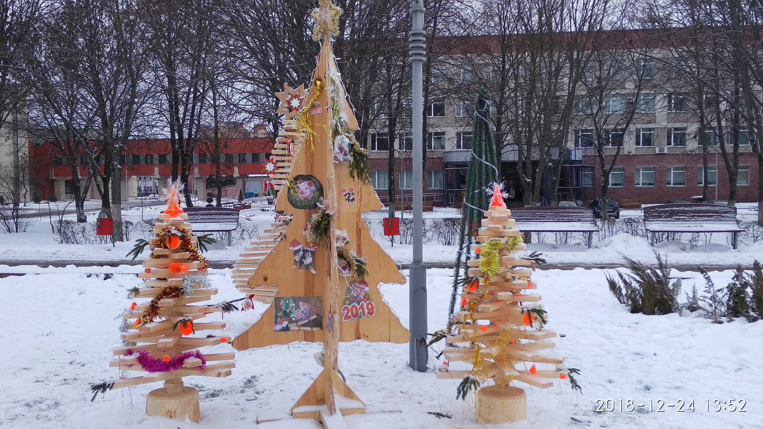 елки солигорск