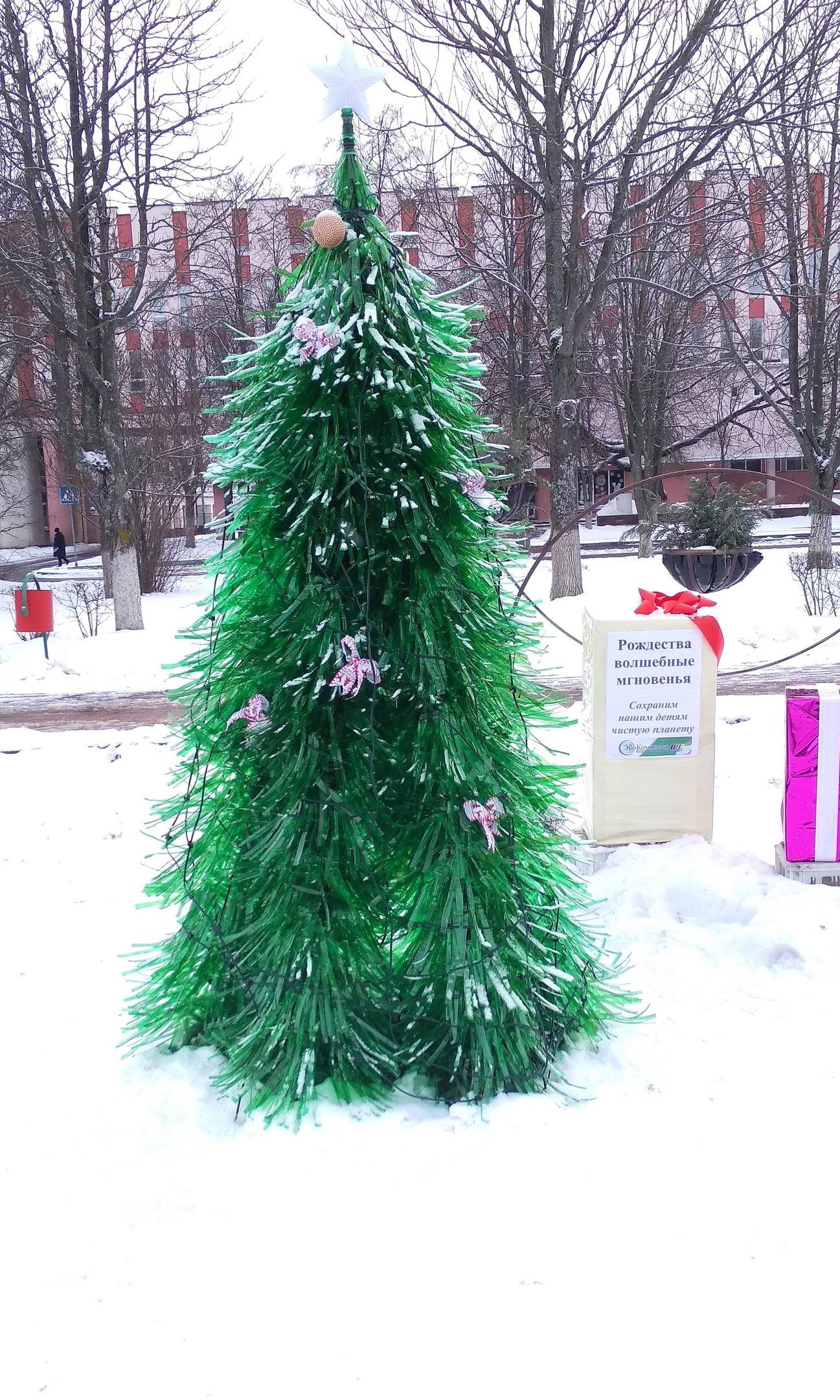 елки солигорск