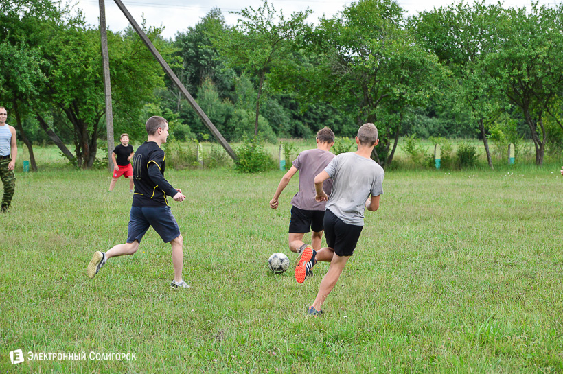 акция в журавушке