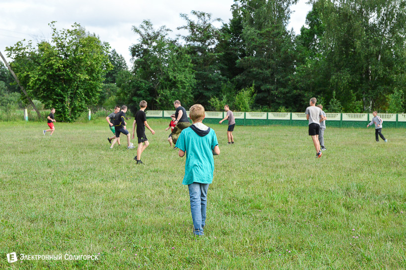 акция в журавушке