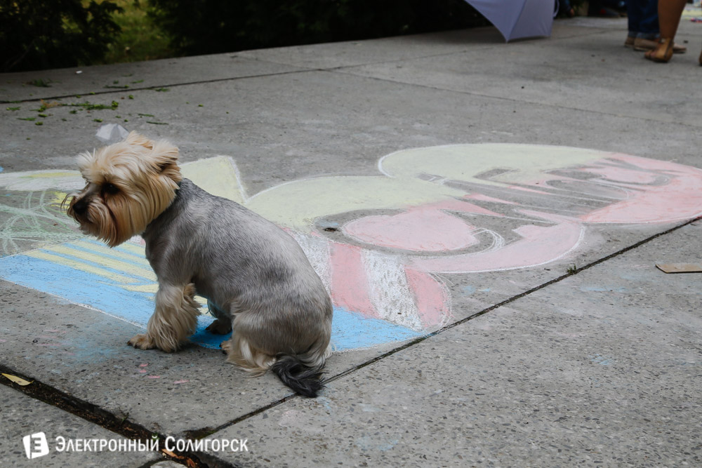 собака йорк рисунок Солигорск