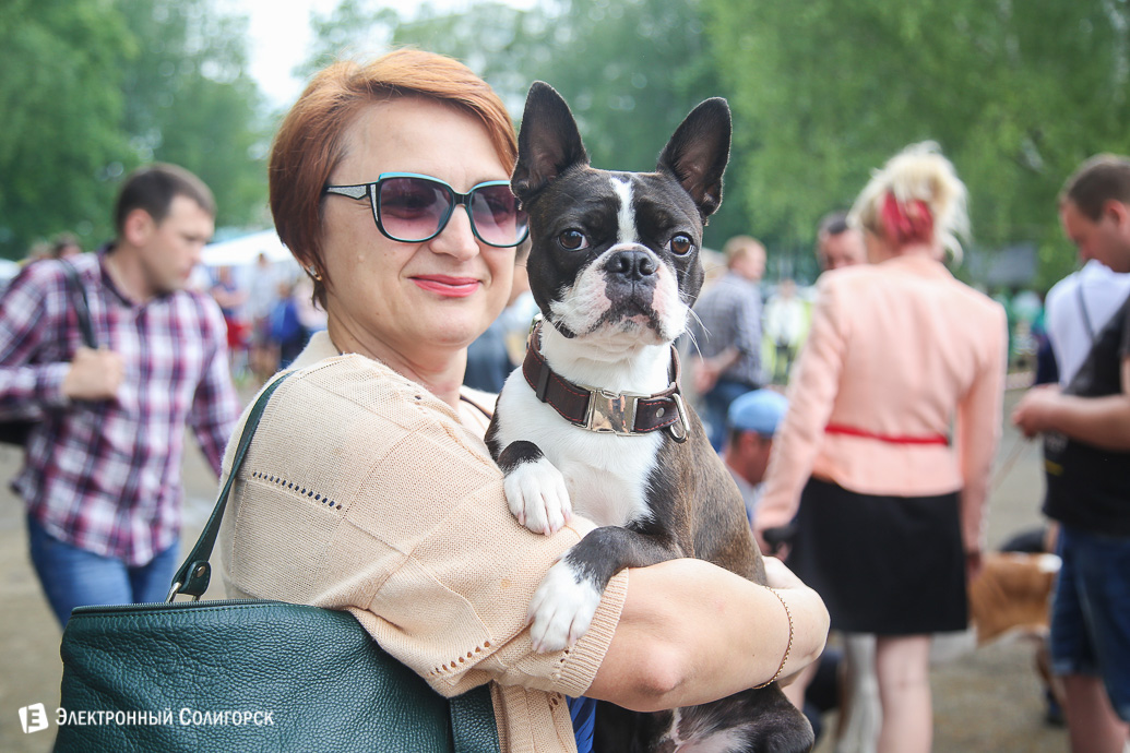 выставка собак Солигорск