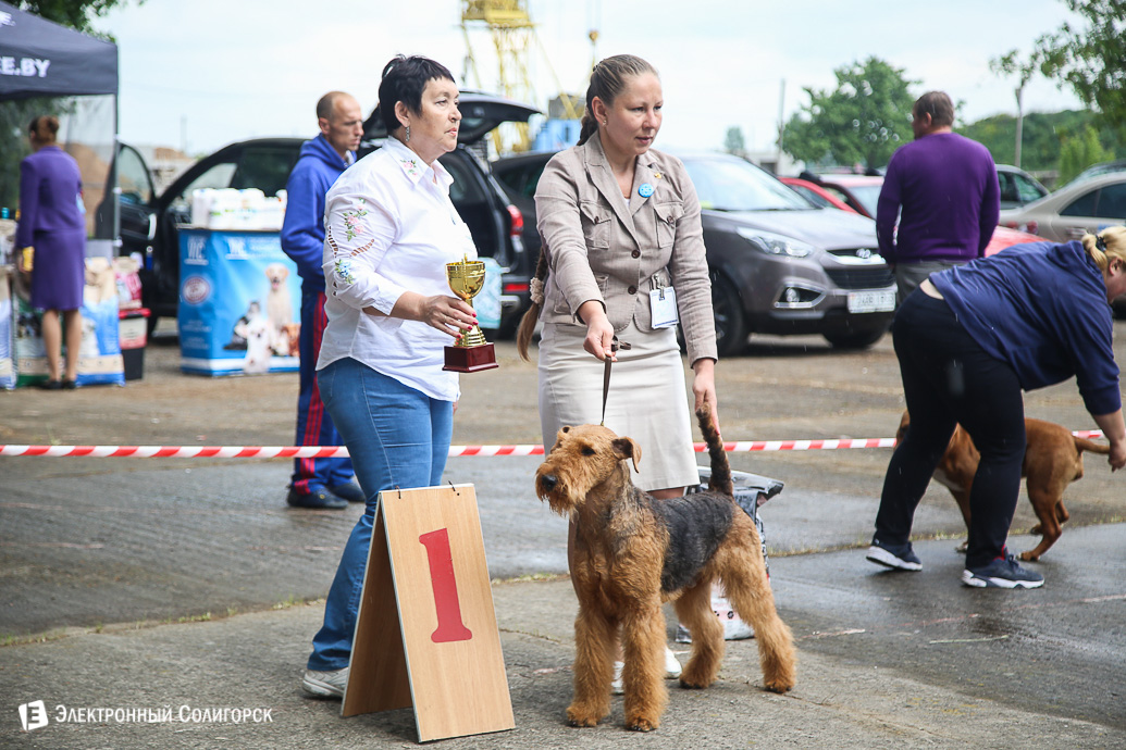 выставка собак Солигорск