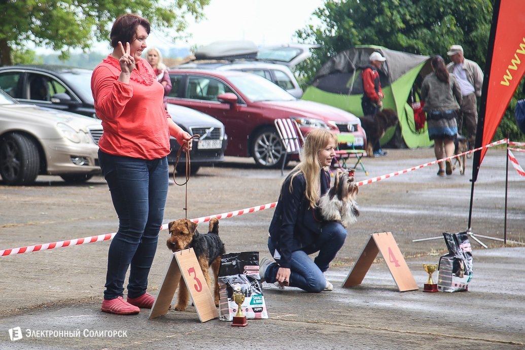выставка собак Солигорск