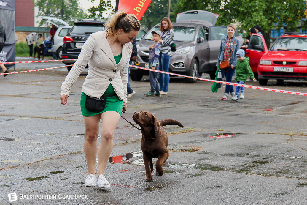 выставка собак Солигорск