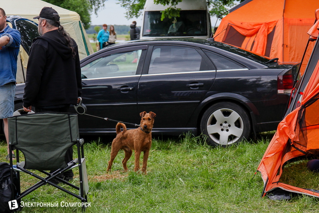 выставка собак Солигорск
