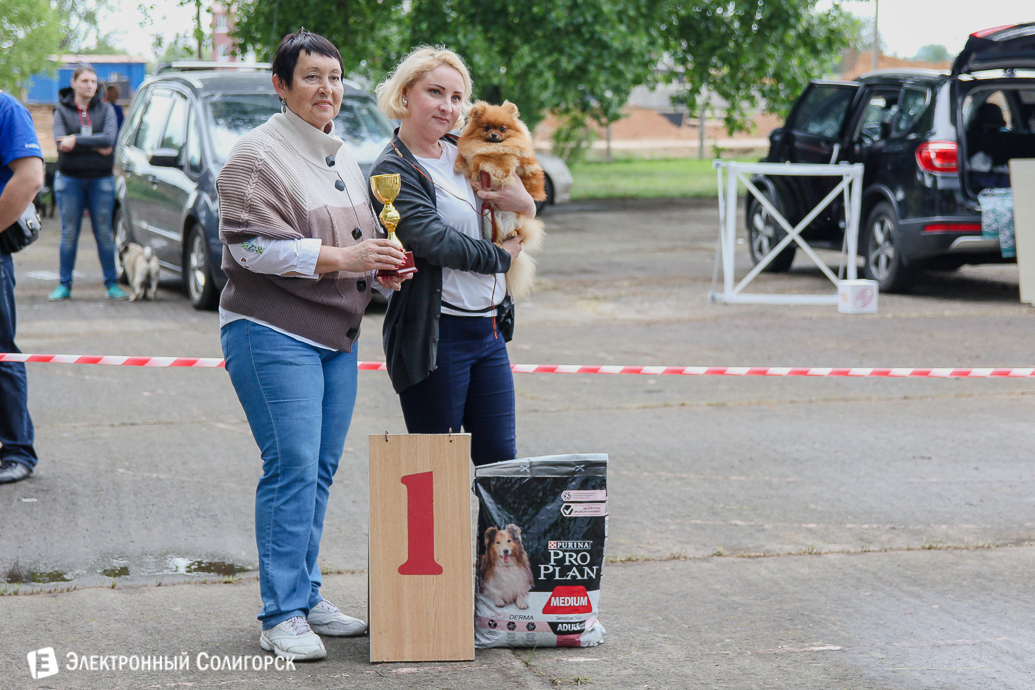 выставка собак Солигорск