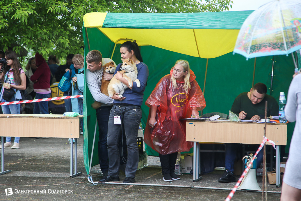 выставка собак Солигорск