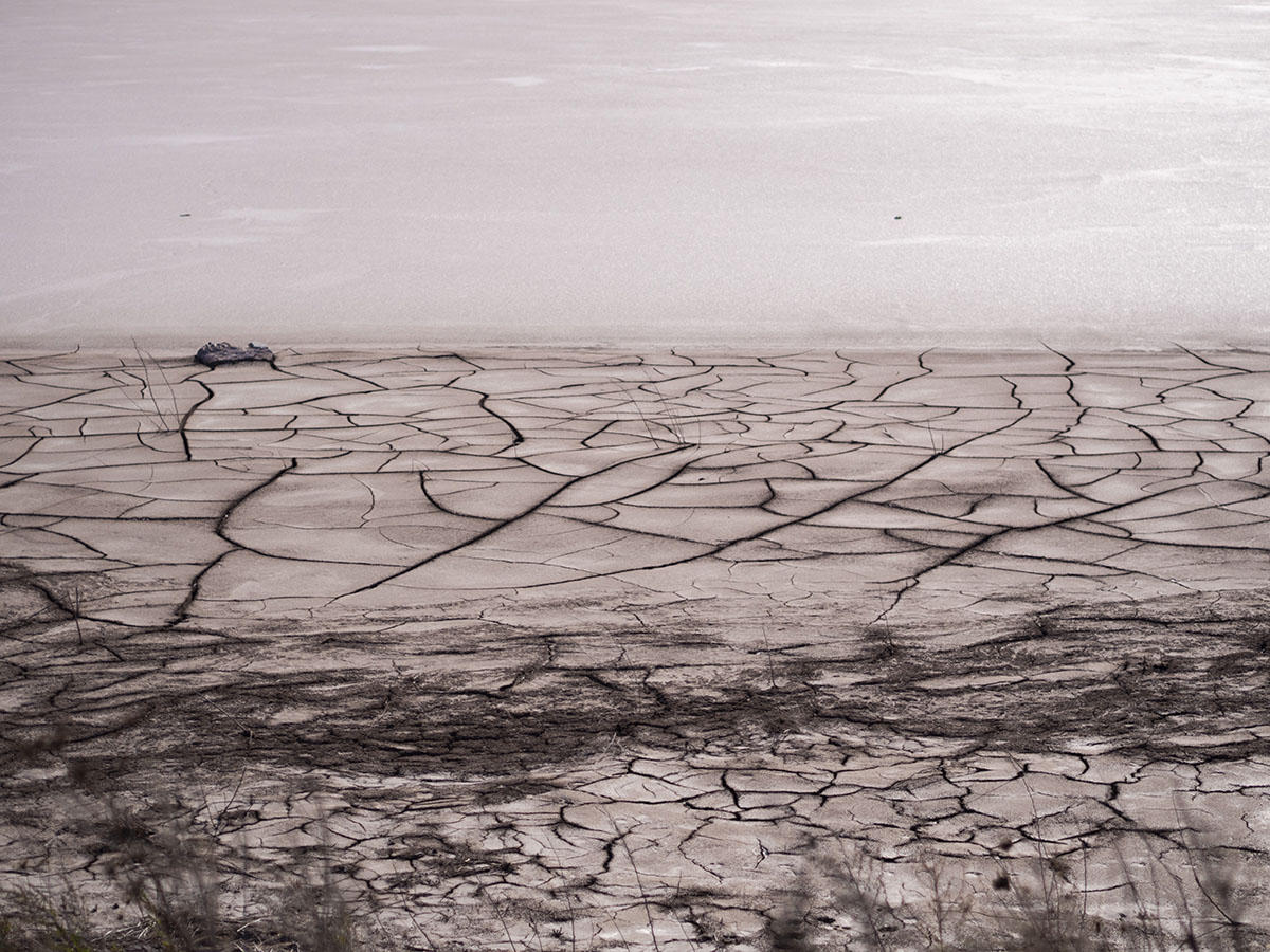 157944a51ece10cbf910f44c91263ead