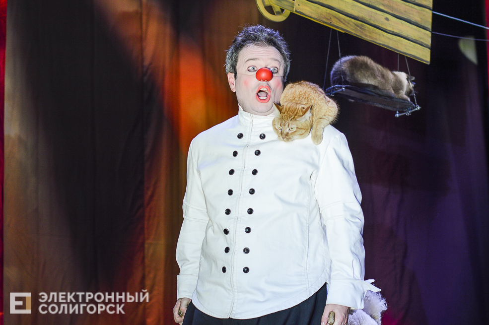 театр кошек