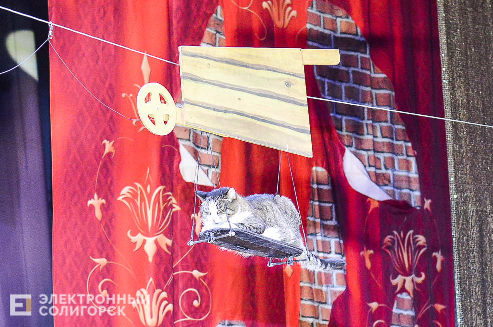 театр кошек
