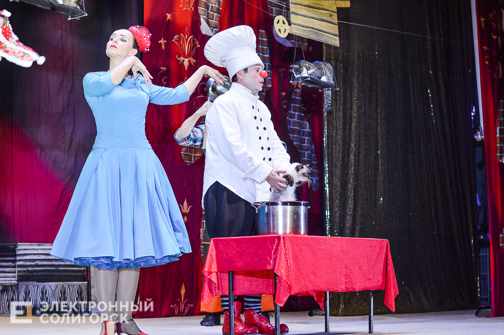 театр кошек