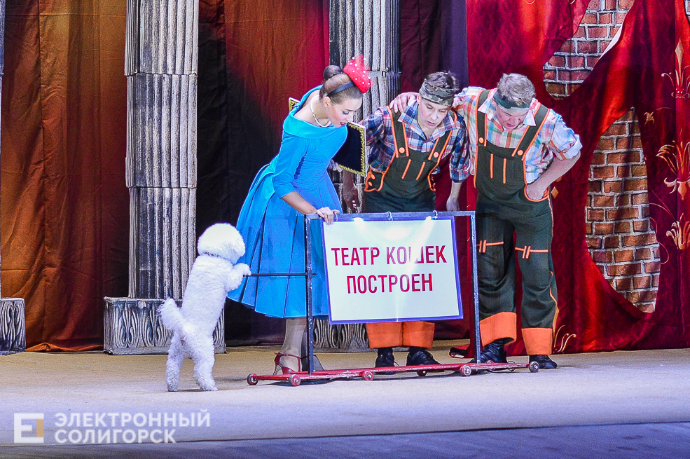 театр кошек