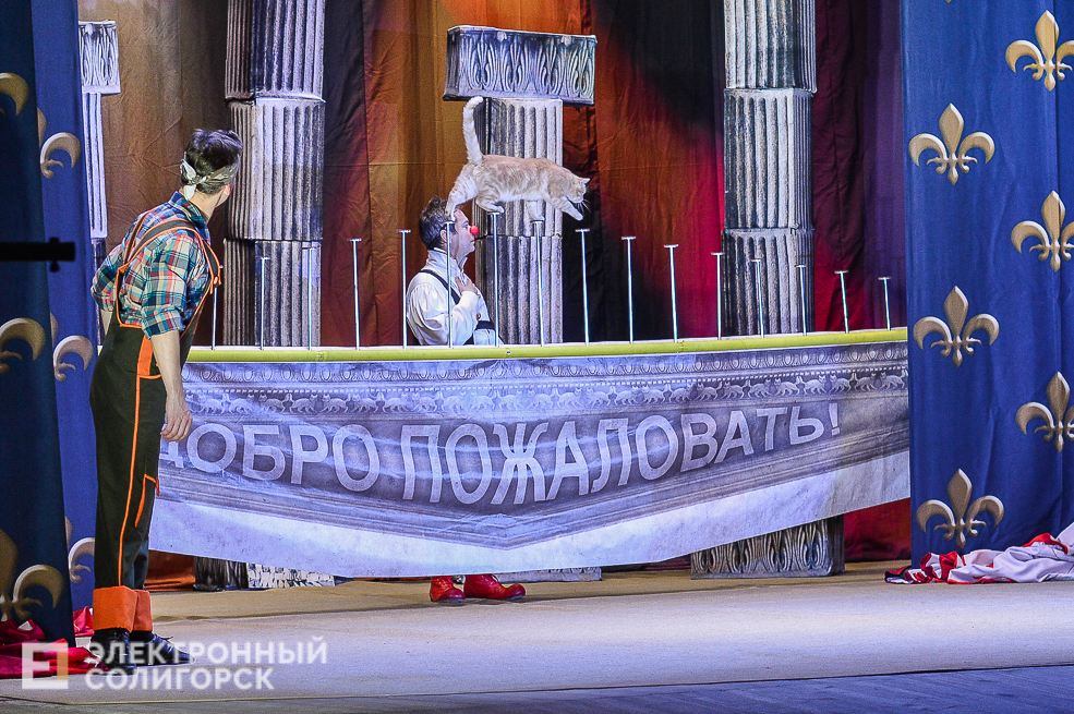 театр кошек