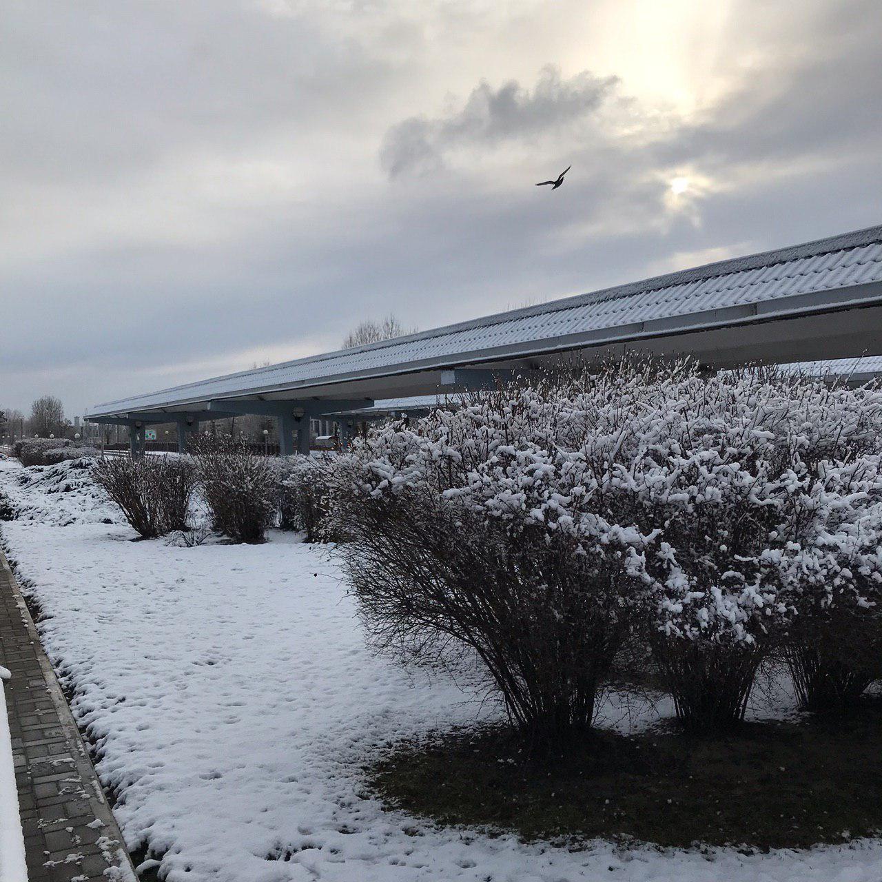 солигорск снег