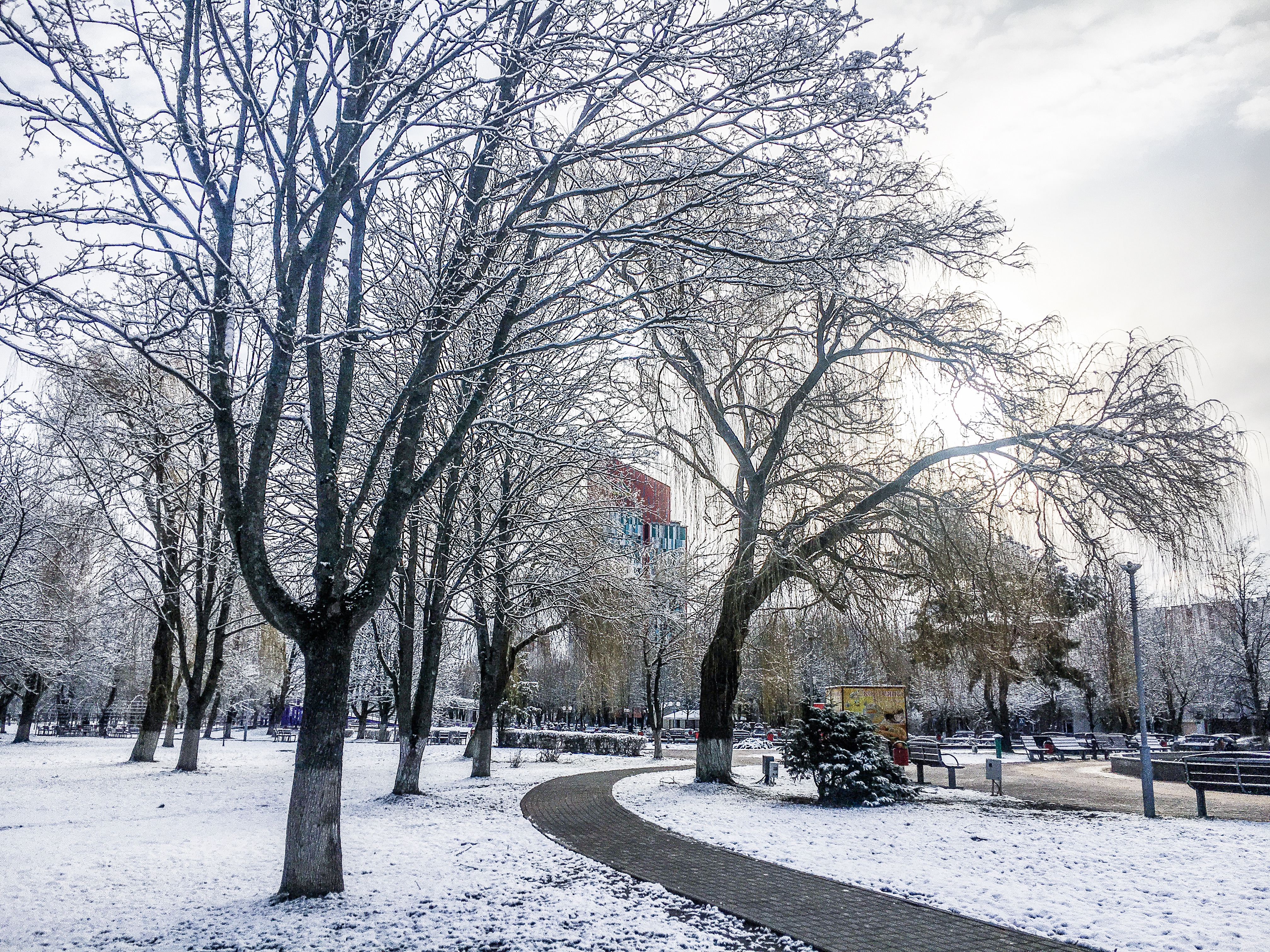 солигорск снег
