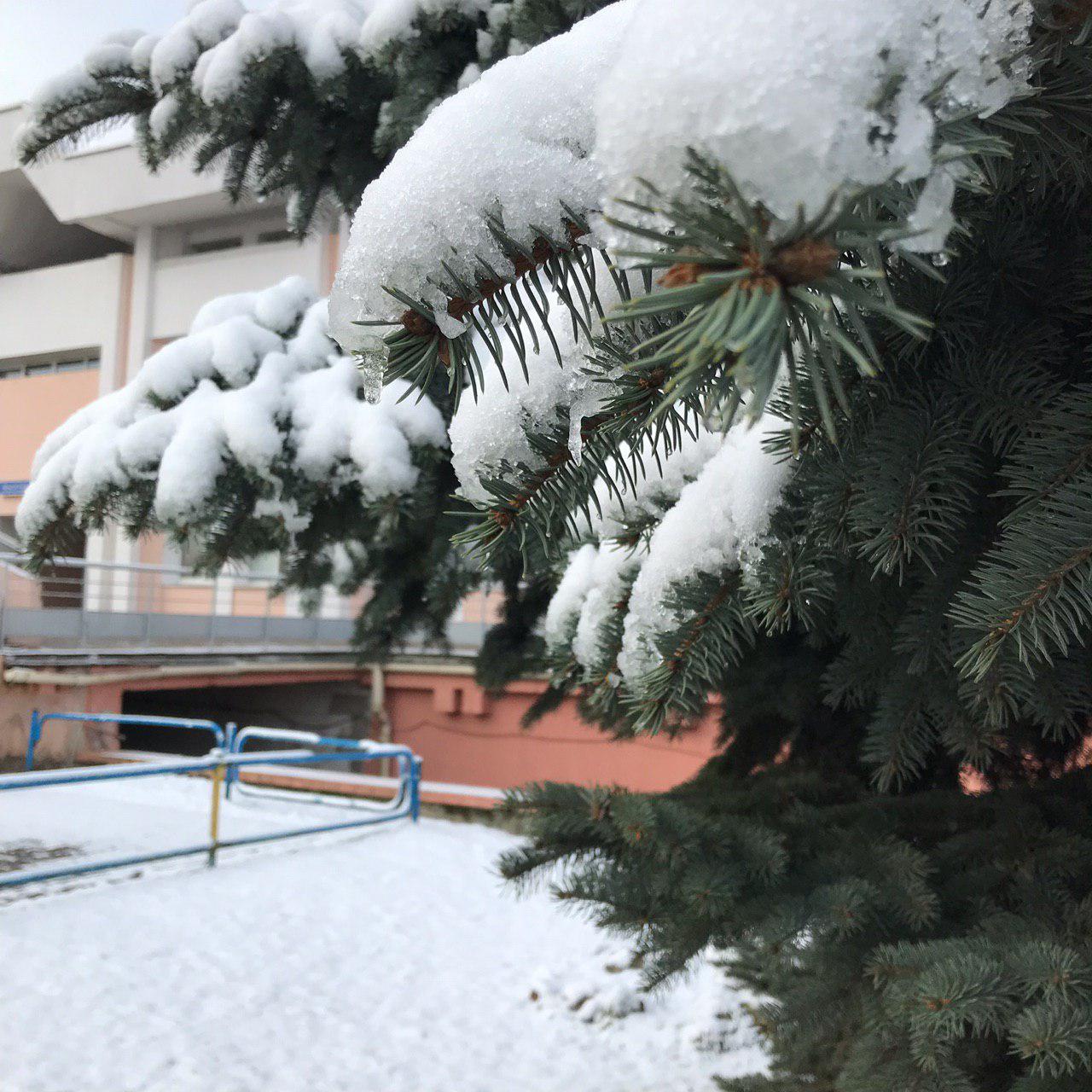 солигорск снег