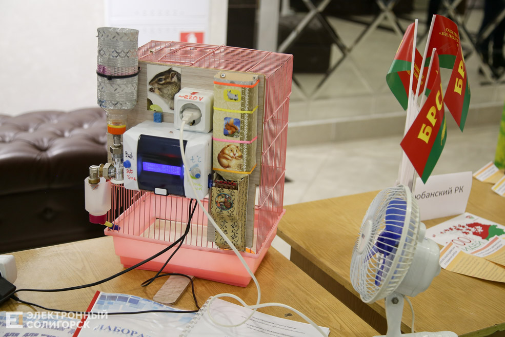 100 идей беларуси