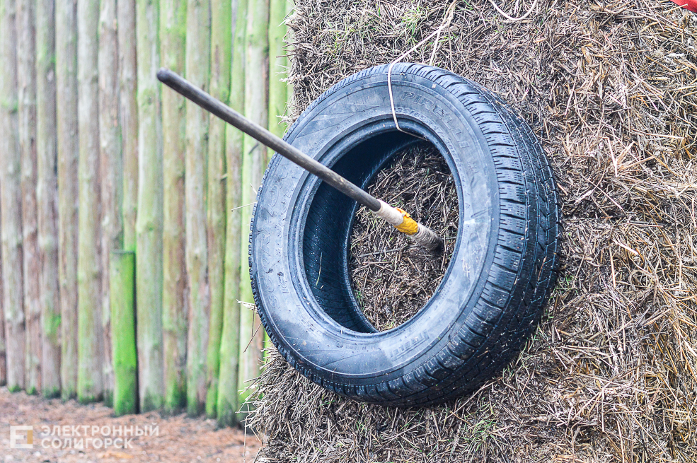 соревнования спарта Солигорск