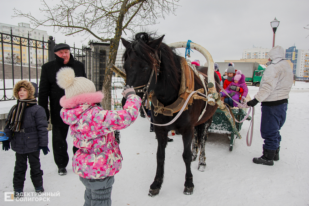 контактный зоопарк Солигорск