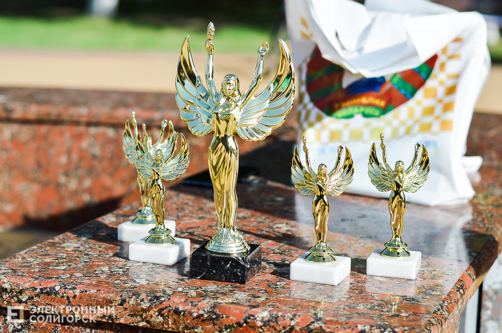 живые скульптуры солигорск