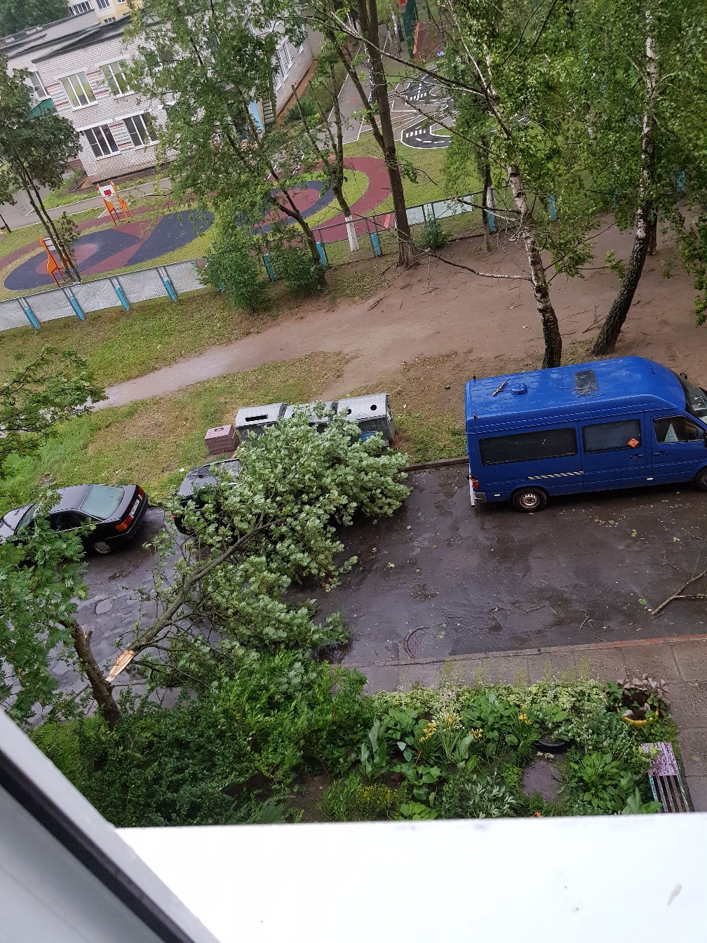 дерево упало солигорск