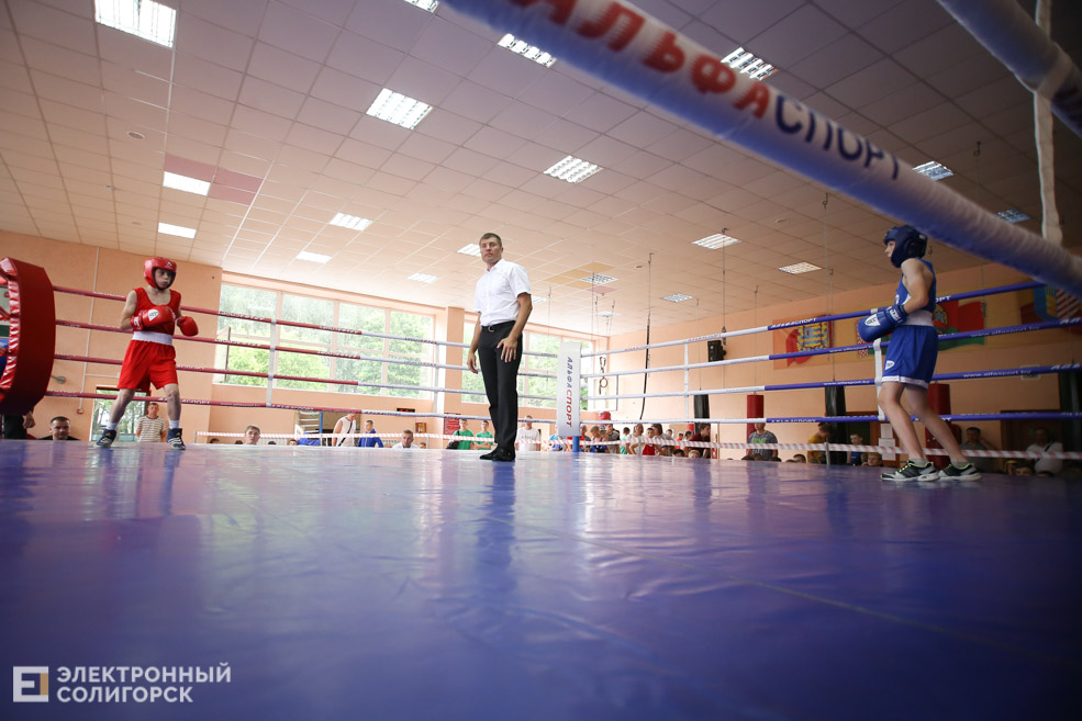 бокс солигорск