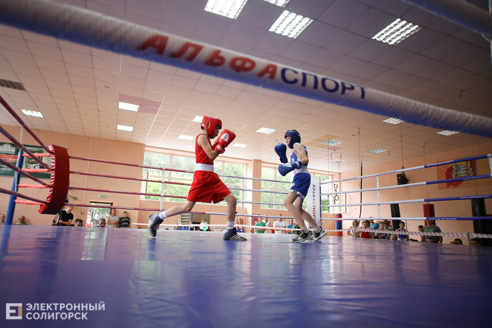 бокс солигорск