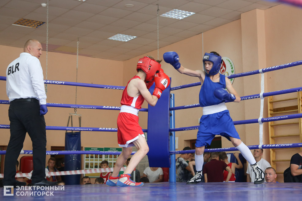 бокс солигорск