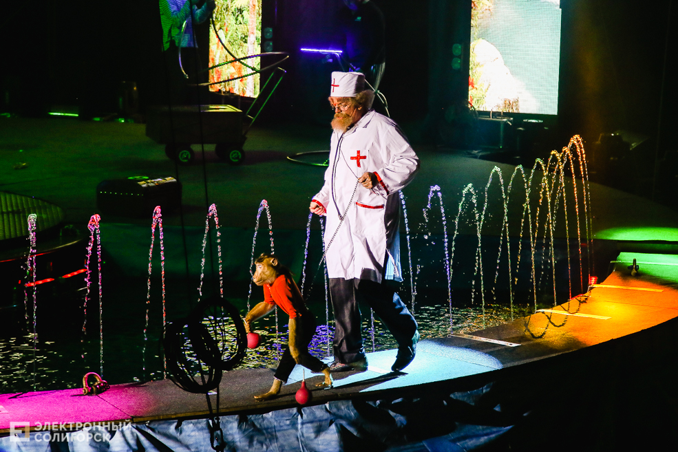 цирк вандерленд солигорск