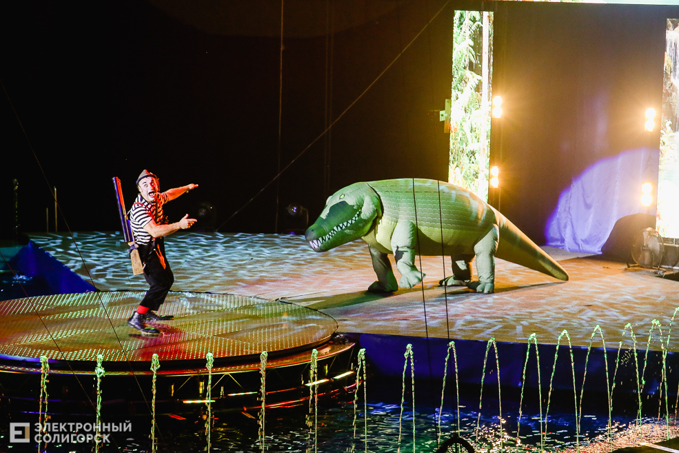 цирк вандерленд солигорск