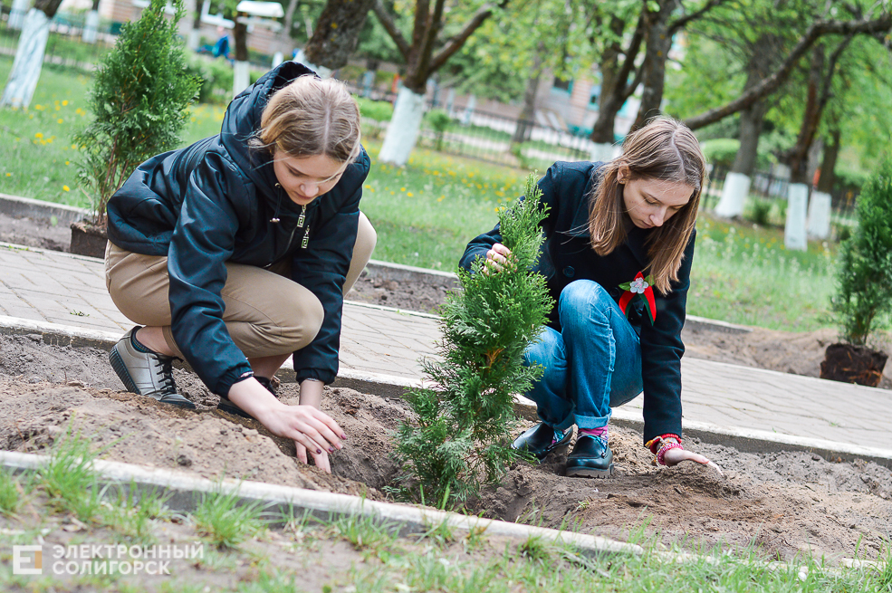 5 школа дань памяти