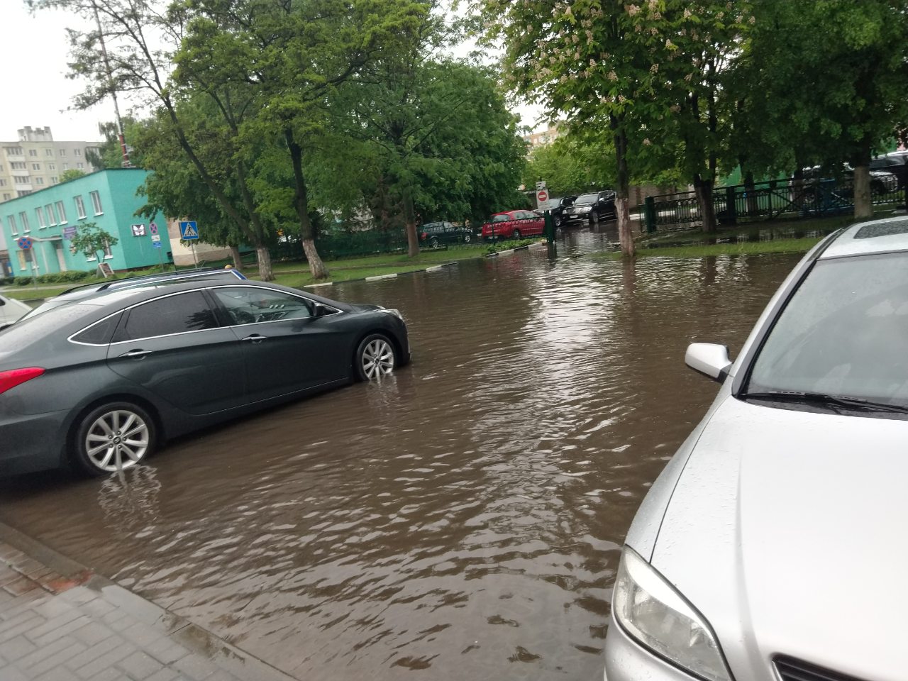 лужи солигорск