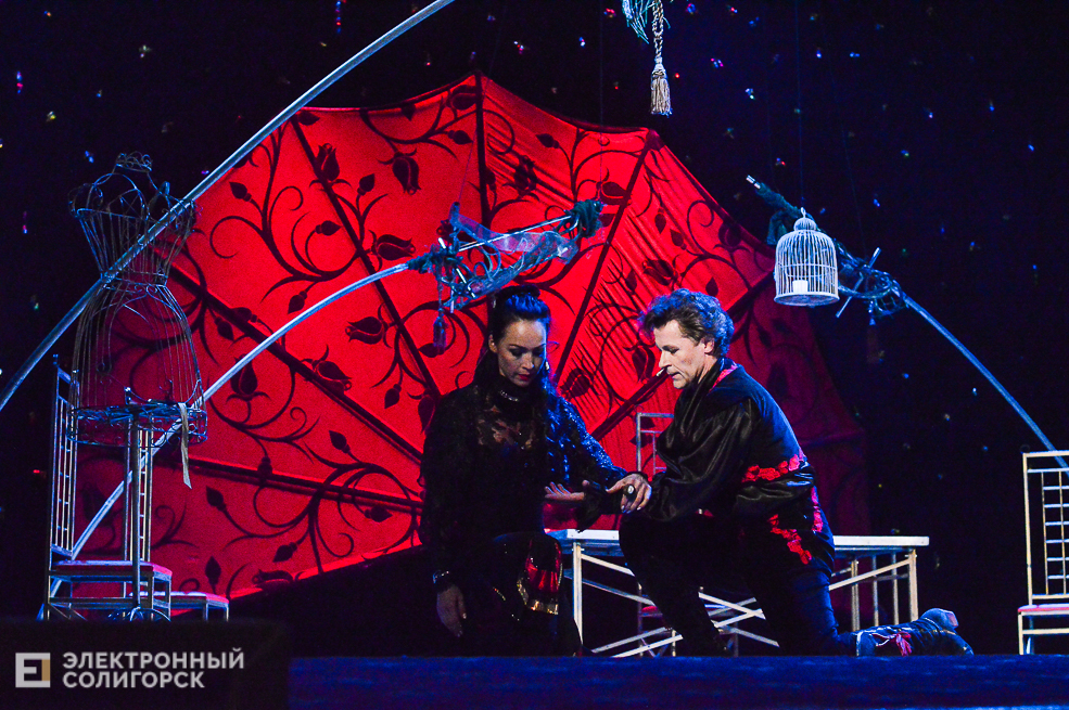 собака на сене