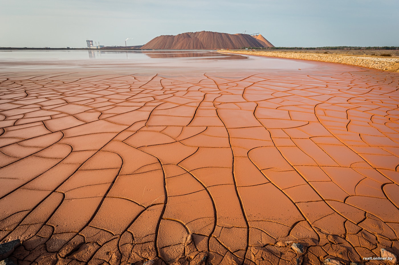 terriconu Солигорск