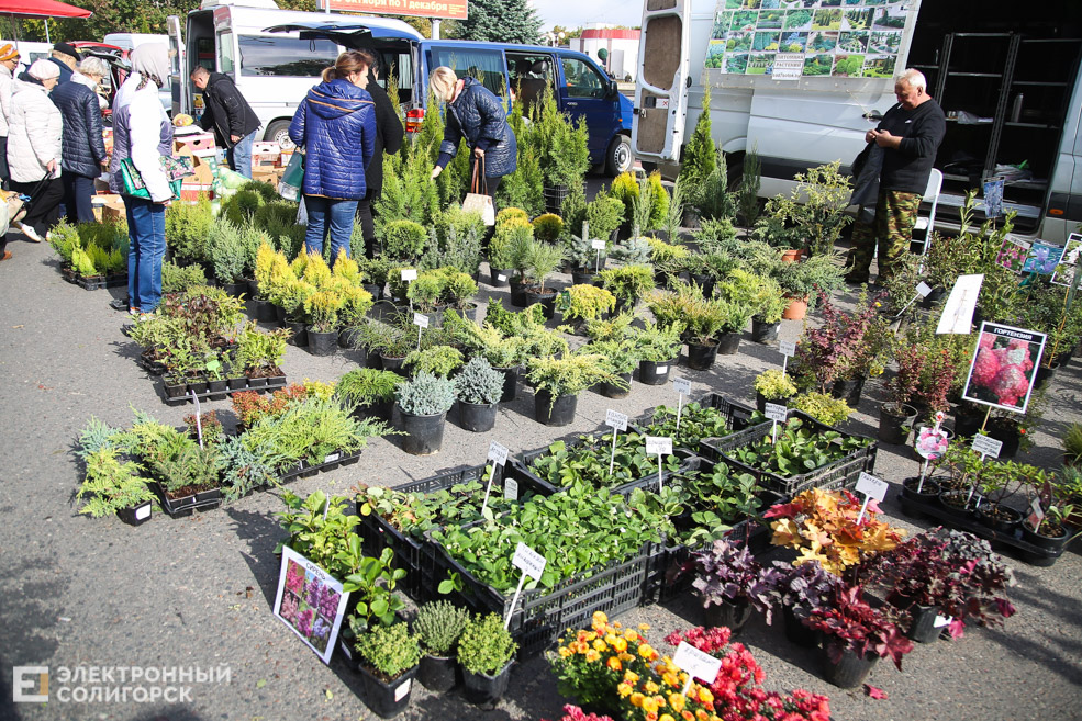 ярмарка Солигорск