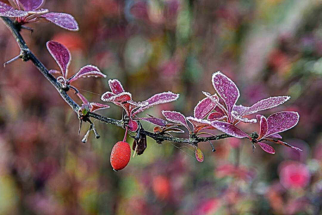 Заморозки Солигорск