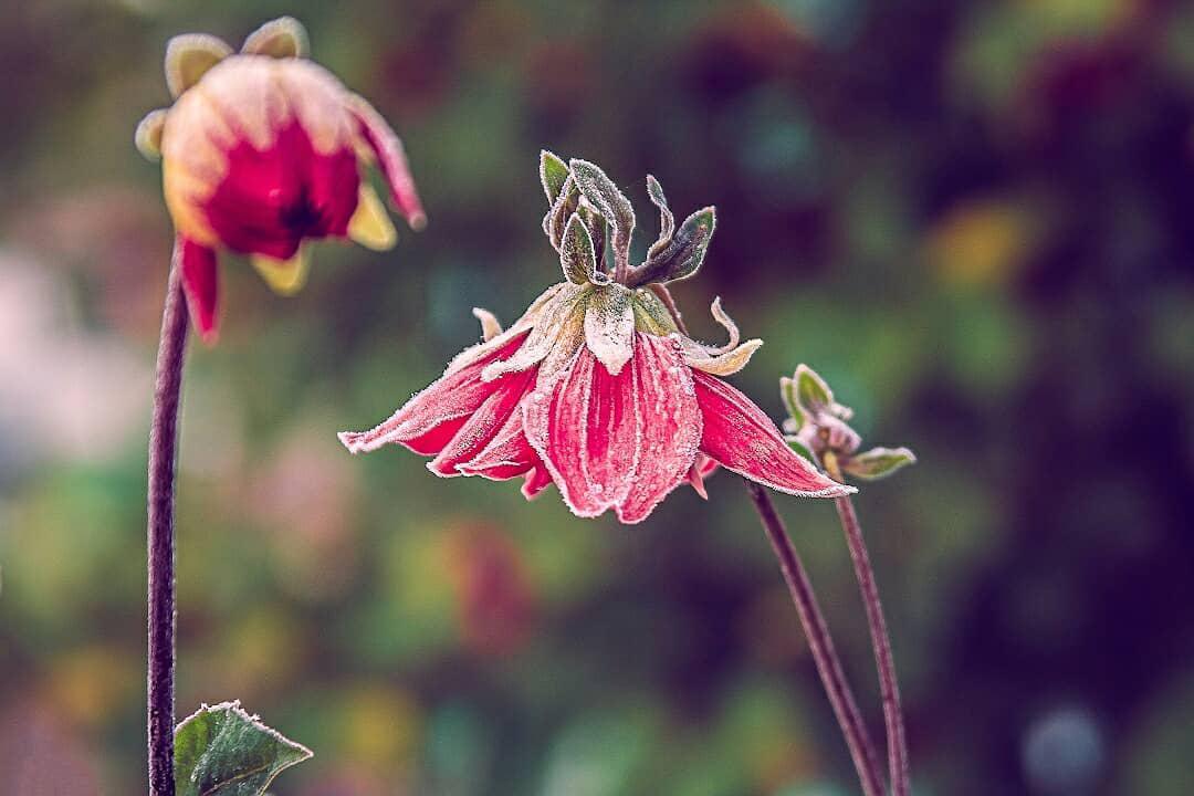 Заморозки Солигорск