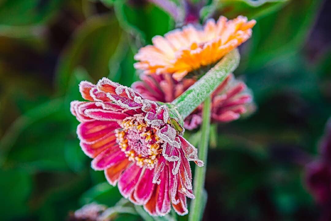 Заморозки Солигорск