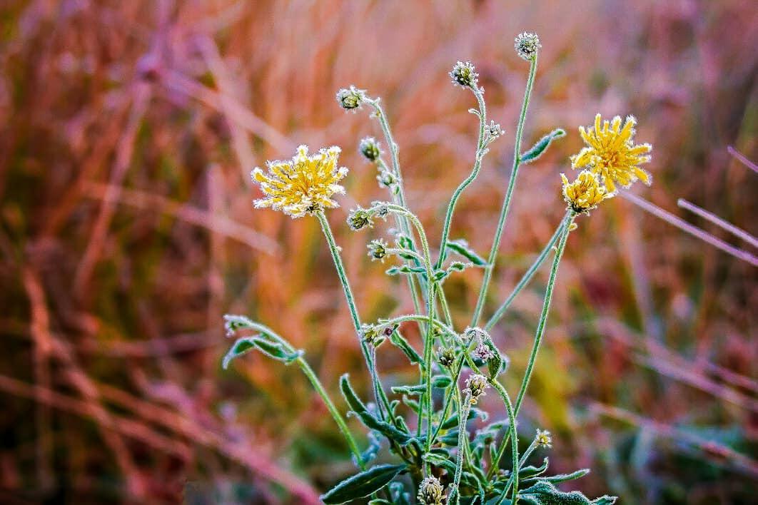 Заморозки Солигорск