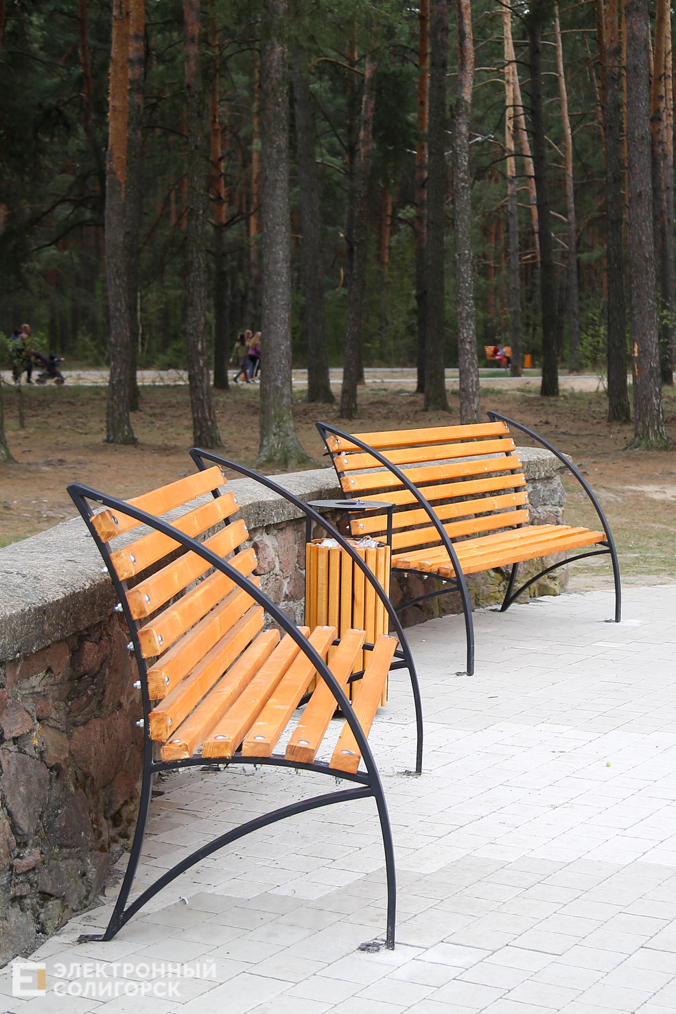 лягушатник солигорск